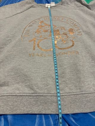 Felpa Disney 100 Anni Wonder Grigia Donna