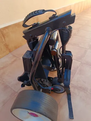 Carro de golf eléctrico