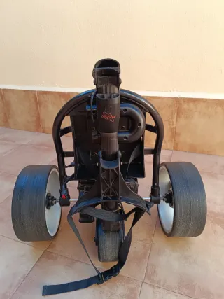 Carro de golf eléctrico