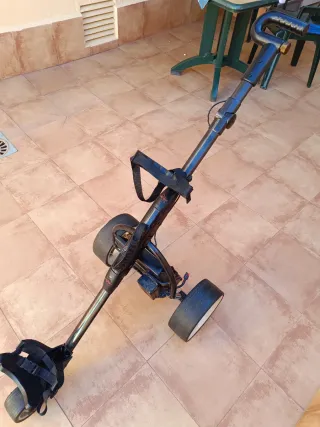 Carro de golf eléctrico