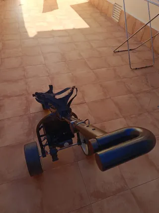 Carro de golf eléctrico