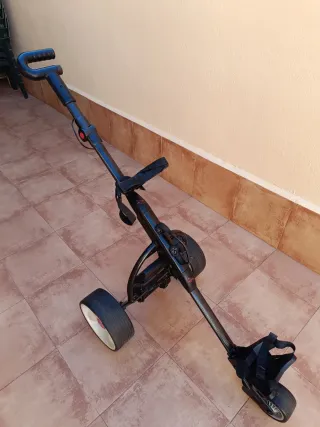 Carro de golf eléctrico