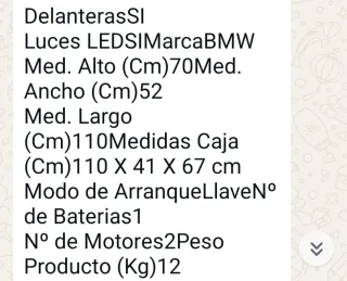 Moto infantil BMW RR