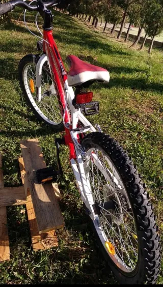 Bicicleta Conor 20 pulgadas niño, está genial