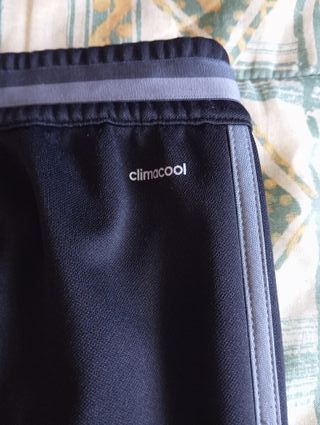 Pantalón chándal Feyenoord Adidas Azul