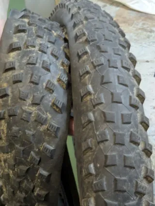 Cubiertas Schwalbe Rocket Ron