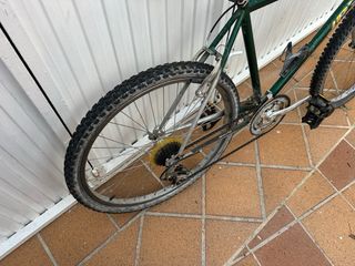 Bicicleta MTB Cups Rasta Verde