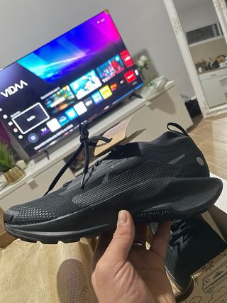 Nike Pegasus Trail 5 Gore-Tex Negro