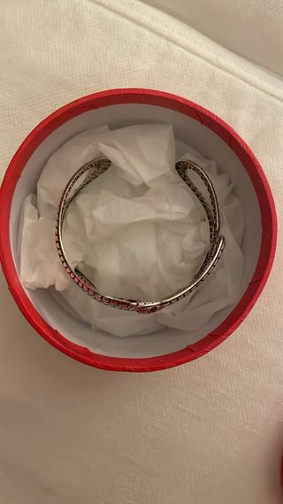 Pulsera Serpiente Rigida Plata con Ojos Rojos