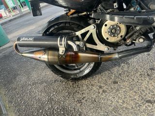 Yasuni Z Escape Piaggio Zip