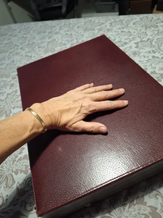 Valigetta Vintage Gucci Dorato e Bordeaux