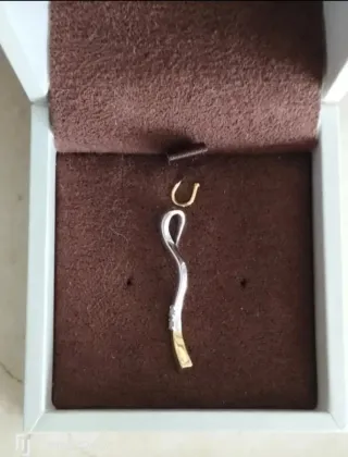 Colgante Oro 18k con 2 Brillantes Certificado