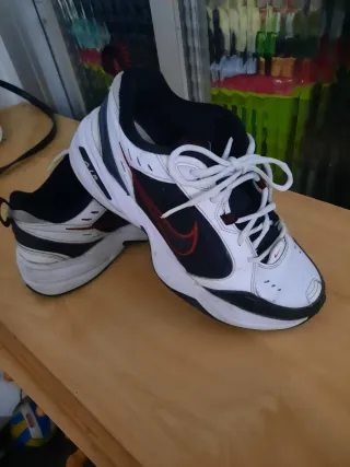 Zapatillas Nike Air monarch