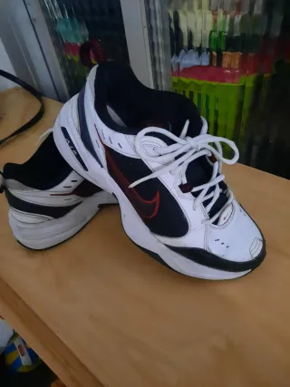 Zapatillas Nike Air monarch