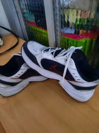 Zapatillas Nike Air monarch