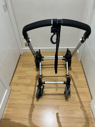 Carrito Bugaboo Camaleón