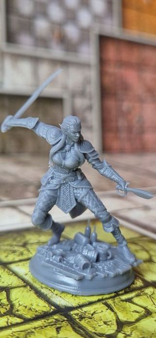 Miniatura Resina D&D Heroquest Pícara