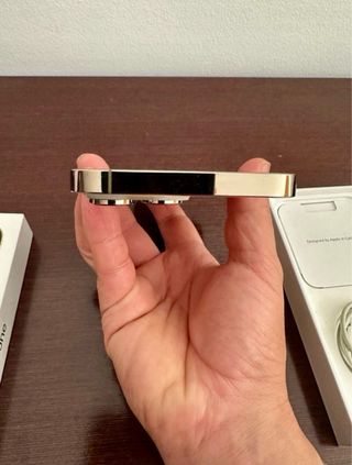 iPhone 14 Pro Max Oro