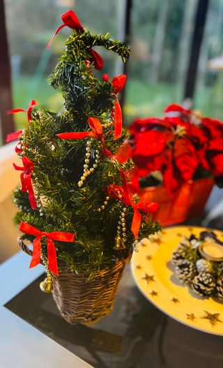 Set completo di decorazioni natalizie