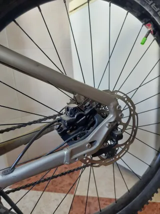 Marca Lombardo talla M (Jerez)