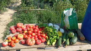 Terreno listo para sembrar