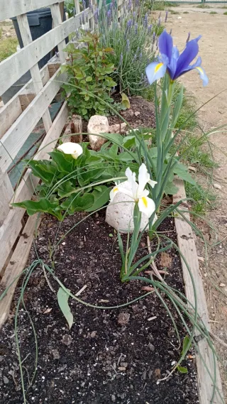 Terreno listo para sembrar