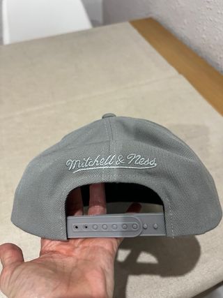 Gorra Mitchell & Ness Azul y Gris