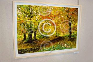 Cuadros Exposición Fotografía 100x70