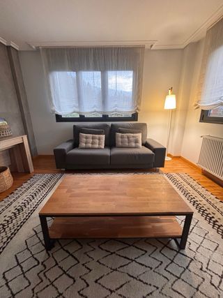 Sofá Cama 2 Plazas Gris