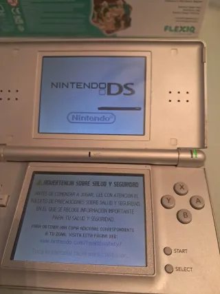 Nintendo DS Plata