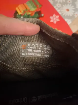 Zapatillas Timberland Marrones/Verdes