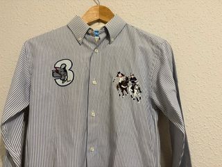 Camisa manga larga de rayas azul claro . Abotonada