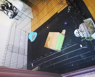 @ Alojamiento Residencia Guardería Conejos