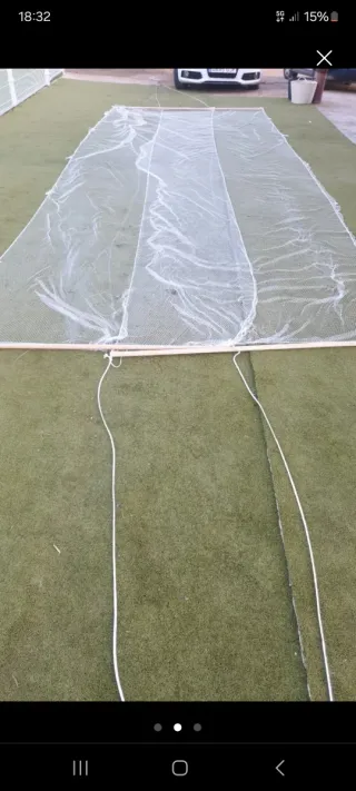 Redes de silvestrismo