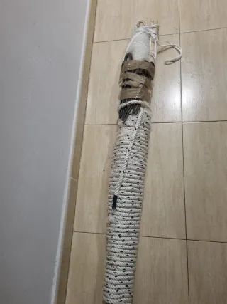 Redes de silvestrismo