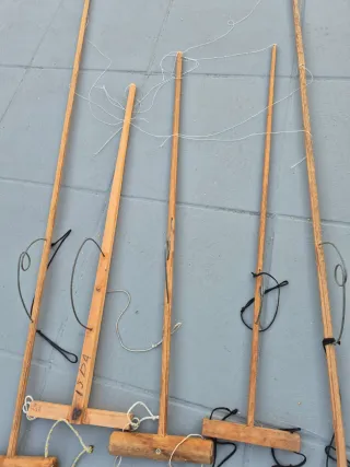 Redes de silvestrismo