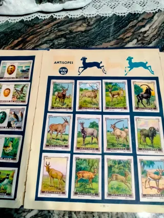 Álbum antiguo Nestlé