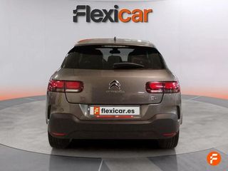 Citroën C4 Cactus PureTech 96kW (130CV) S&S Feel