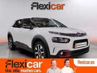 Citroën C4 Cactus BlueHDi 88KW (120CV) EAT6 Feel