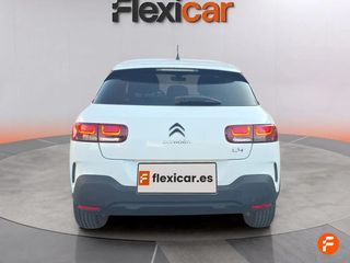 Citroën C4 Cactus BlueHDi 100 S&S Business