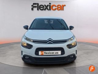 Citroën C4 Cactus BlueHDi 100 S&S Business