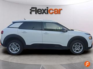 Citroën C4 Cactus BlueHDi 100 S&S Business