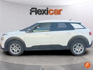 Citroën C4 Cactus BlueHDi 100 S&S Business