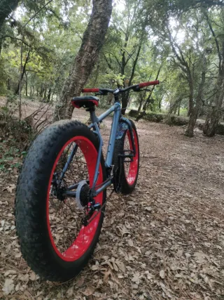 Bicicleta Fat Bike Ruedas Rojas URGE VENTA