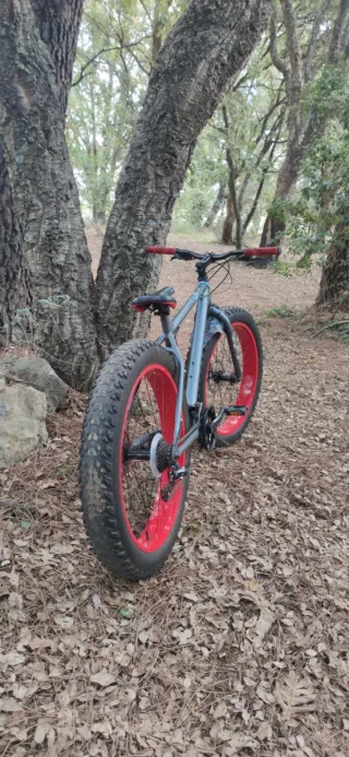 Bicicleta Fat Bike Ruedas Rojas URGE VENTA