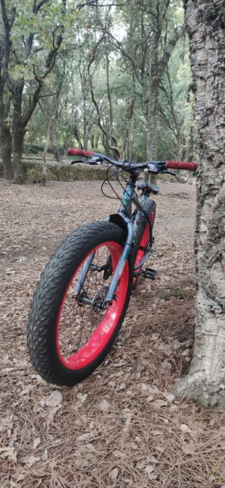 Bicicleta Fat Bike Ruedas Rojas URGE VENTA