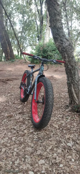 Bicicleta Fat Bike Ruedas Rojas URGE VENTA
