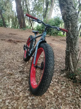 Bicicleta Fat Bike Ruedas Rojas URGE VENTA