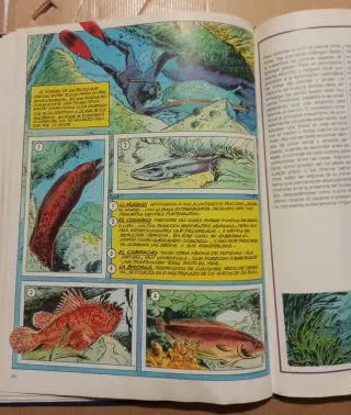 La Pesca Submarina por J.B Esclapez