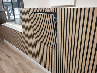 CARLOS - "EL MÁNITAS RÁPIDO"